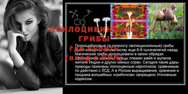 a pvp Алексин