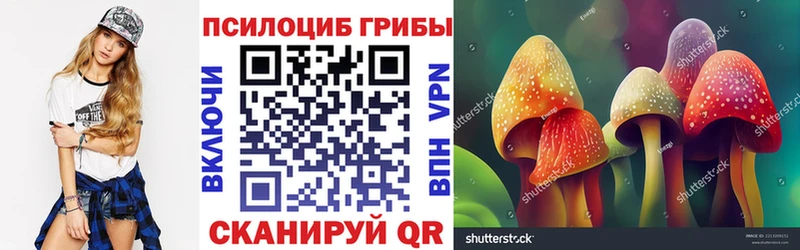 OMG маркетплейс  Вичуга  Псилоцибиновые грибы Psilocybe 