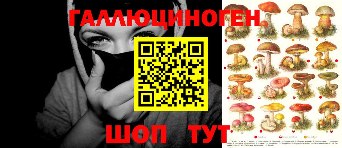 Вичуга  где можно купить   Галлюциногенные грибы Cubensis  Вход с VPN  Галлюциногенные грибы MAGIC MUSHROOMS 